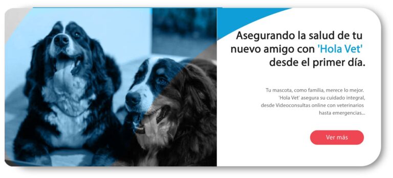 Dos perros felices, uno mirando a la cámara, con un subtítulo acerca de asegurar la salud de tu mascota con 'Hola Vet' desde el primer día, destacando el cuidado integral incluyendo videoconsultas con veterinarios.